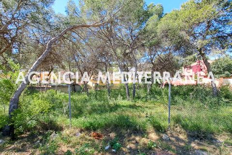 Terra a Paterna, Valencia, Paterna - € 220.000 | Ref: 9082/5940 - foto 5
