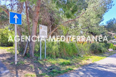 Terra a Paterna, Valencia, Paterna - € 220.000 | Ref: 9082/5940 - foto 6
