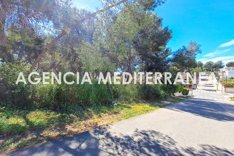 Terra a Paterna, Valencia, Paterna - € 220.000 | Ref: 9082/5940 - foto 7