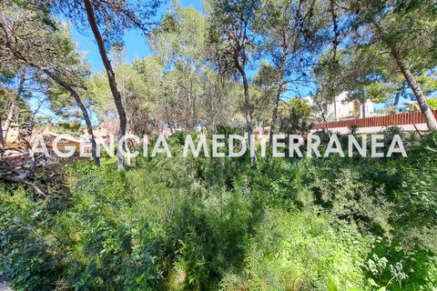 Terra a Paterna, Valencia, Paterna - € 220.000 | Ref: 9082/5940 - foto 8