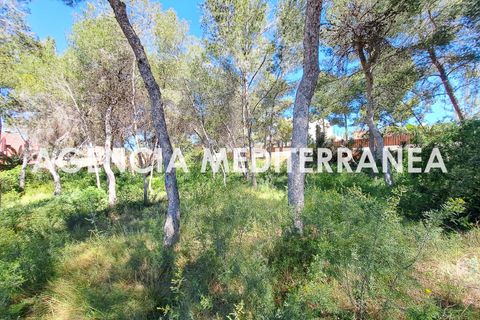 Terra a Paterna, Valencia, Paterna - € 220.000 | Ref: 9082/5940 - foto 9