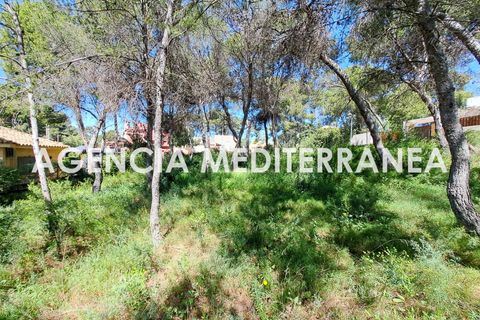 Terra a Paterna, Valencia, Paterna - € 220.000 | Ref: 9082/5940 - foto 10