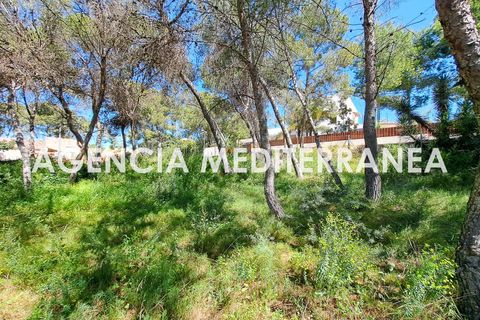 Terra a Paterna, Valencia, Paterna - € 220.000 | Ref: 9082/5940 - foto 11