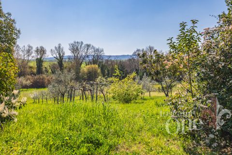 Villa a Chianni, Pisa, Chianni - € 370.000 | Ref: 19364 - foto 30