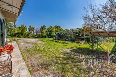 Villa a Chianni, Pisa, Chianni - € 370.000 | Ref: 19364 - foto 38