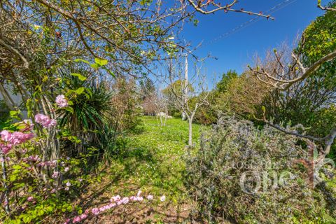 Villa a Chianni, Pisa, Chianni - € 370.000 | Ref: 19364 - foto 40