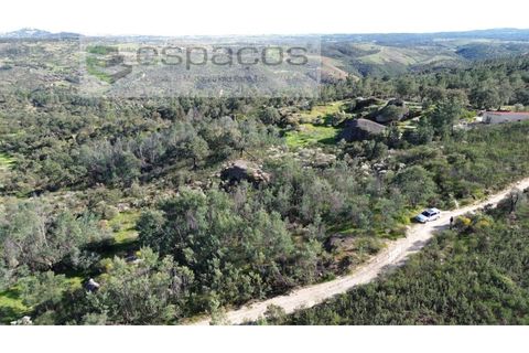 Helårsgrund i Castelo Branco, Castelo Branco, Castelo Branco - € 7.950 | Ref: 5528/EG - foto 2