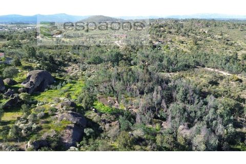 Helårsgrund i Castelo Branco, Castelo Branco, Castelo Branco - € 7.950 | Ref: 5528/EG - foto 3