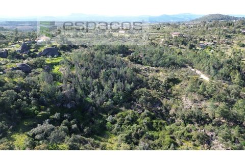 Helårsgrund i Castelo Branco, Castelo Branco, Castelo Branco - € 7.950 | Ref: 5528/EG - foto 4
