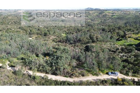 Helårsgrund i Castelo Branco, Castelo Branco, Castelo Branco - € 7.950 | Ref: 5528/EG - foto 5