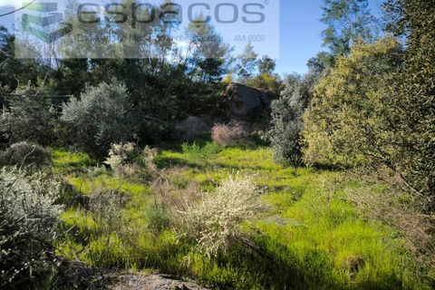 Helårsgrund i Castelo Branco, Castelo Branco, Castelo Branco - € 7.950 | Ref: 5528/EG - foto 9