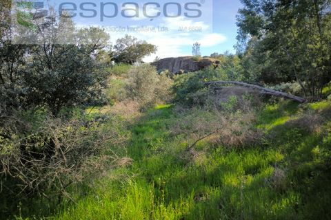 Helårsgrund i Castelo Branco, Castelo Branco, Castelo Branco - € 7.950 | Ref: 5528/EG - foto 10