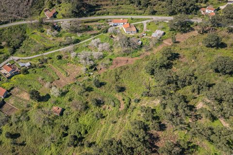 Farm i Monchique, Faro, Monchique - € 185.000 | Ref: DHA0152 - foto 9