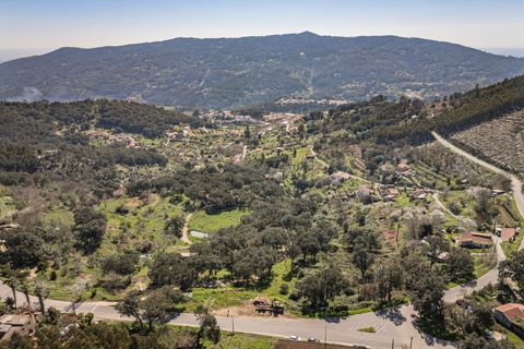 Farm i Monchique, Faro, Monchique - € 185.000 | Ref: DHA0152 - foto 12