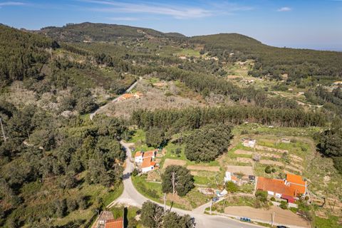 Farm i Monchique, Faro, Monchique - € 185.000 | Ref: DHA0152 - foto 16
