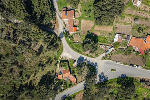 Farm i Monchique, Faro, Monchique - € 185.000 | Ref: DHA0152 - foto 18