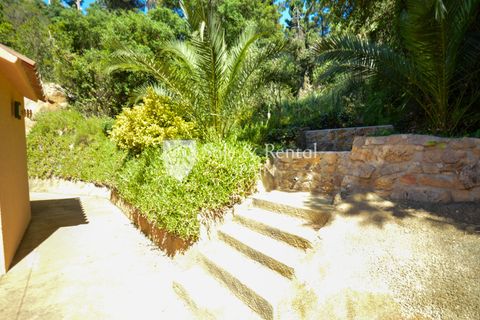 Villa i Lloret De Mar, Gerona, Lloret De Mar - € 550.000 | Ref: 2533 - foto 24