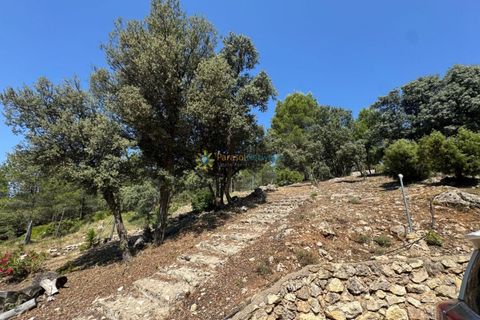 Villa a Bocairent, Valencia, Bocairent - € 376.000 | Ref: PNVL2134 - foto 32