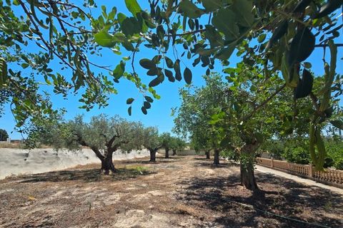 Finca a Teulada, Alicante, Teulada - € 2.990/mes | Ref: finca San Migel Teulada - foto 11