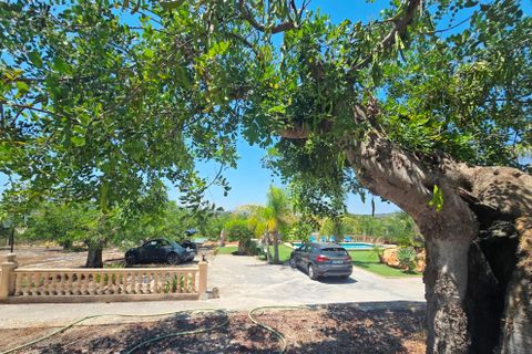 Finca a Teulada, Alicante, Teulada - € 2.990/mes | Ref: finca San Migel Teulada - foto 12