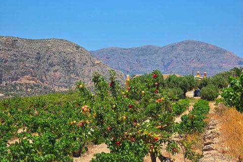 Finca a Teulada, Alicante, Teulada - € 2.990/mes | Ref: finca San Migel Teulada - foto 32