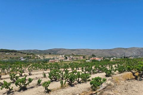 Finca a Teulada, Alicante, Teulada - € 2.990/mes | Ref: finca San Migel Teulada - foto 33