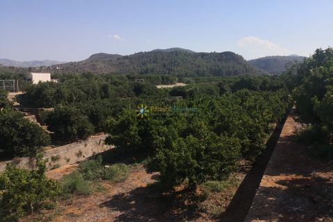 Terra a Oliva, Valencia, Oliva - € 28.000 | Ref: PNPT267 - foto 2