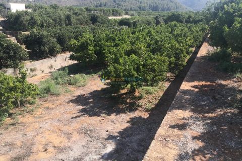 Terra a Oliva, Valencia, Oliva - € 28.000 | Ref: PNPT267 - foto 3