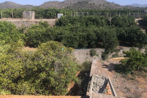 Terra a Oliva, Valencia, Oliva - € 28.000 | Ref: PNPT267 - foto 6