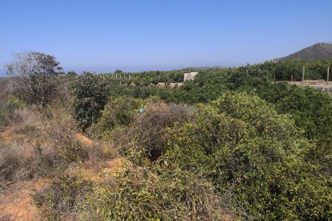 Terra a Oliva, Valencia, Oliva - € 28.000 | Ref: PNPT267 - foto 5