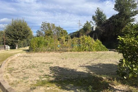 Villa a Albaida, Valencia, Albaida - € 250.000 | Ref: PNVL2156 - foto 37