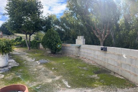 Villa a Albaida, Valencia, Albaida - € 250.000 | Ref: PNVL2156 - foto 36