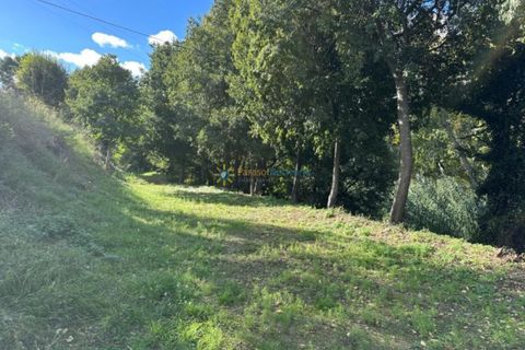 Villa a Albaida, Valencia, Albaida - € 250.000 | Ref: PNVL2156 - foto 38