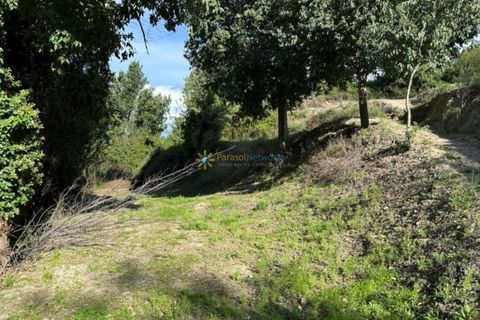 Villa a Albaida, Valencia, Albaida - € 250.000 | Ref: PNVL2156 - foto 39