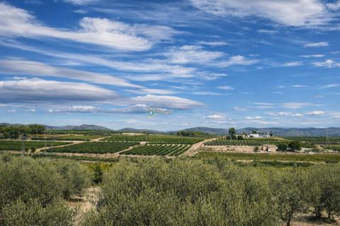 Villa en Bufali, Valencia, Bufali - € 110.000 | Ref: PNVL2099 - photo 34
