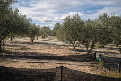 Villa en Bufali, Valencia, Bufali - € 110.000 | Ref: PNVL2099 - photo 27