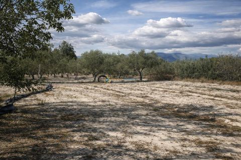 Villa en Bufali, Valencia, Bufali - € 110.000 | Ref: PNVL2099 - photo 30