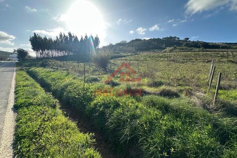 Helårsgrund i Matacaes, Lisbon, Matacaes - € 30.000 | Ref: M3643 TVD - foto 6