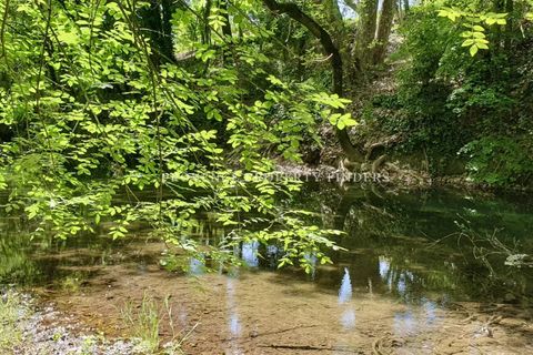Villa a Carcès, Var, Carcès - € 525.000 | Ref: 82517269 - foto 25