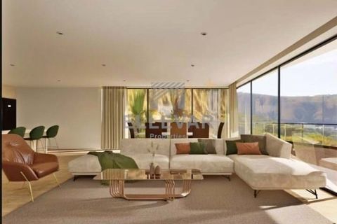 Terra a Gaula, Madeira, Gaula - € 750.000 | Ref: 25A/2026 - foto 5