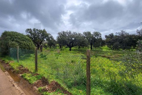 Helårsgrund i Silves, Faro, Silves - € 200.000 | Ref: KWPT-030190 - foto 2