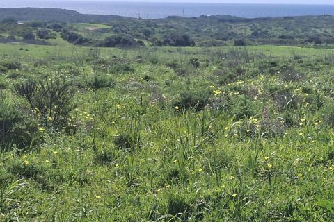 Helårsgrund i Sagres, Faro, Sagres - € 49.000 | Ref: KWPT-030237 - foto 3