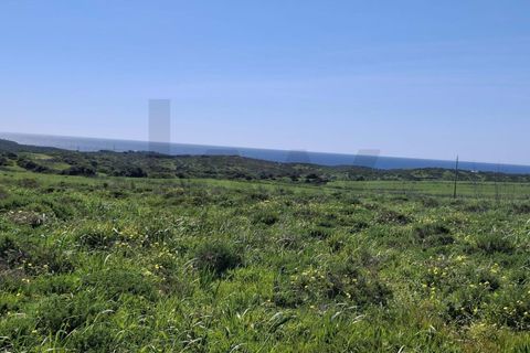 Helårsgrund i Sagres, Faro, Sagres - € 49.000 | Ref: KWPT-030237 - foto 15
