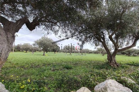 Helårsgrund i Scicli, Ragusa, Scicli - € 25.000 | Ref: 233 - foto 5