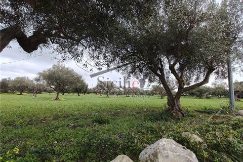 Helårsgrund i Scicli, Ragusa, Scicli - € 25.000 | Ref: 233 - foto 6