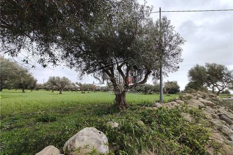 Helårsgrund i Scicli, Ragusa, Scicli - € 25.000 | Ref: 233 - foto 7