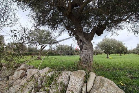 Helårsgrund i Scicli, Ragusa, Scicli - € 25.000 | Ref: 233 - foto 8