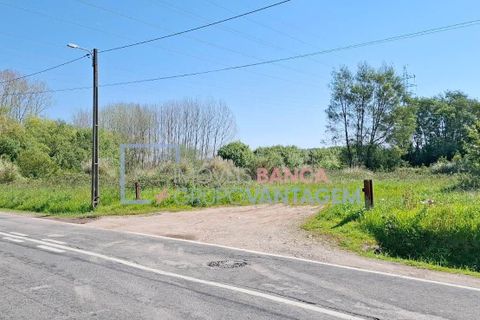 Tomt i Aveiro, Aveiro, Aveiro - € 175 000 | Ref: T-30453 - foto 3