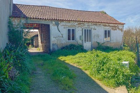 Villa i Cantanhede, Coimbra, Cantanhede - € 100.000 | Ref: M-30458 - foto 2