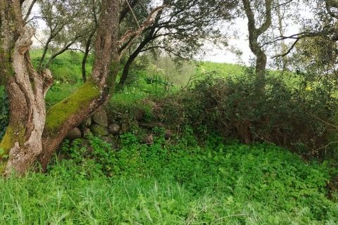 Helårsgrund i Sintra, Lisbon, Sintra - € 60.000 | Ref: T-30466 - foto 2